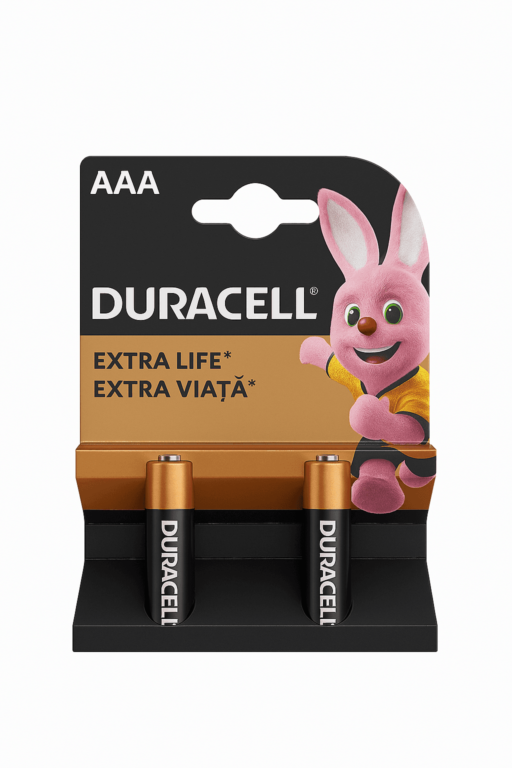 Duracell Basic 3a bx2 (10)