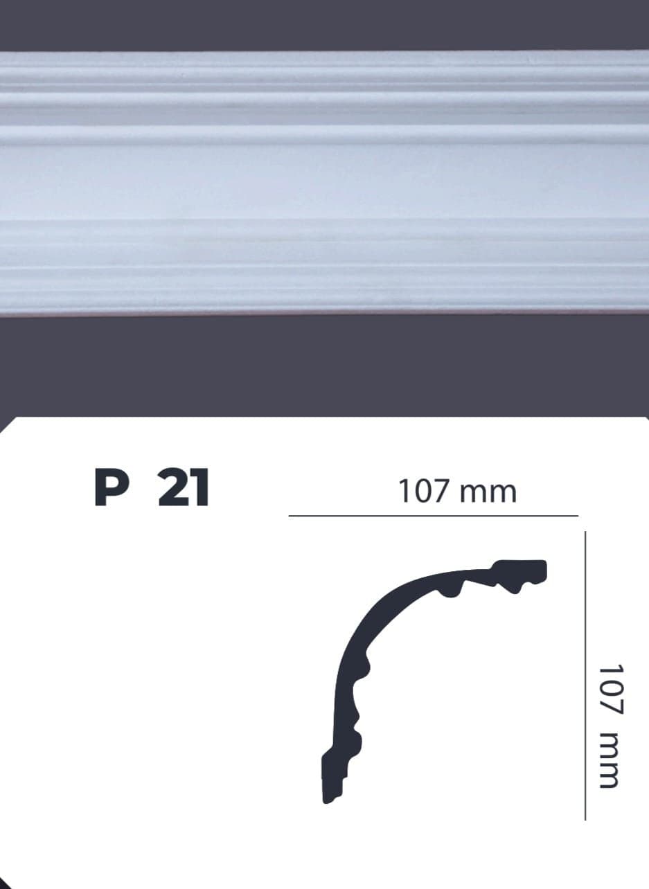 Paduqa P-21 Panapol