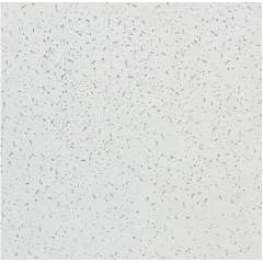 Ceiling plate Armstrong Bajkal 600x600x12mm
