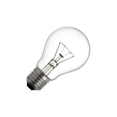 Lamp Russian E27 60W DC 240-60-4