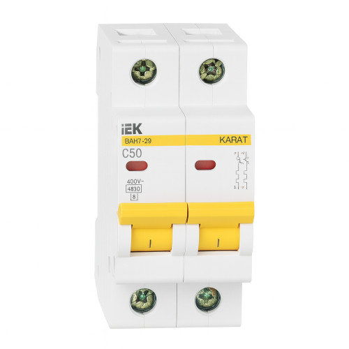 Avtomatik elektrikaçarı ВА47-29 2P50A 4,5кА х-ка C İEK MVA20-2-050-C Avtomatik elektrikaçarı ВА47-29 2P50A 4,5кА х-ка C İEK MVA20-2-050-C