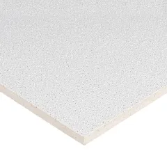 Ceiling Plate Armstrong Dune NG Board 1200x600x15mm