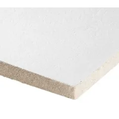 Ceiling Plate Armstrong Bioguard Plain Board 600x600x15mm